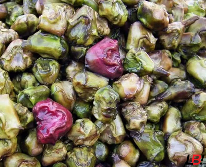 Blissful 7 Must Have Lucknow Special Food Items For Winters 5 | LucknowBuzz Blissful 7 Must Have Lucknow Special Food Items For Winters - Lucknow Buzz | Lucknow City Guide