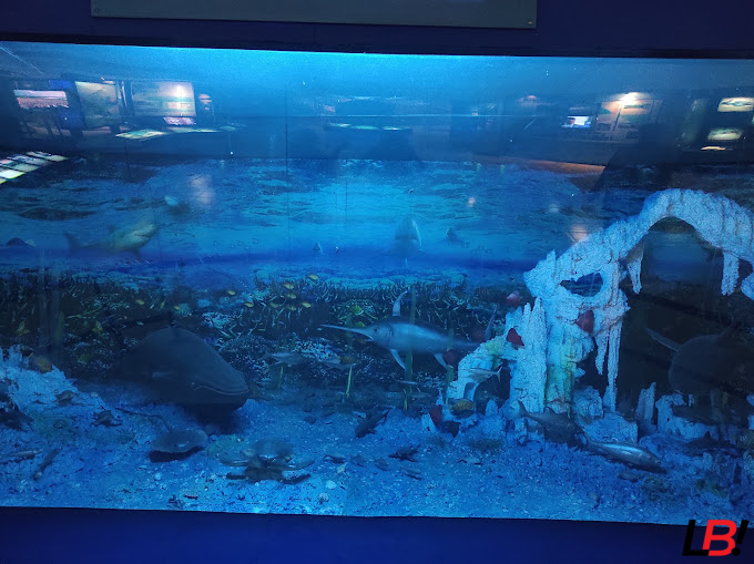 Amazing Wonders of Science at Lucknow's Regional Science City 3 | LucknowBuzz Lucknow's Regional Science City |