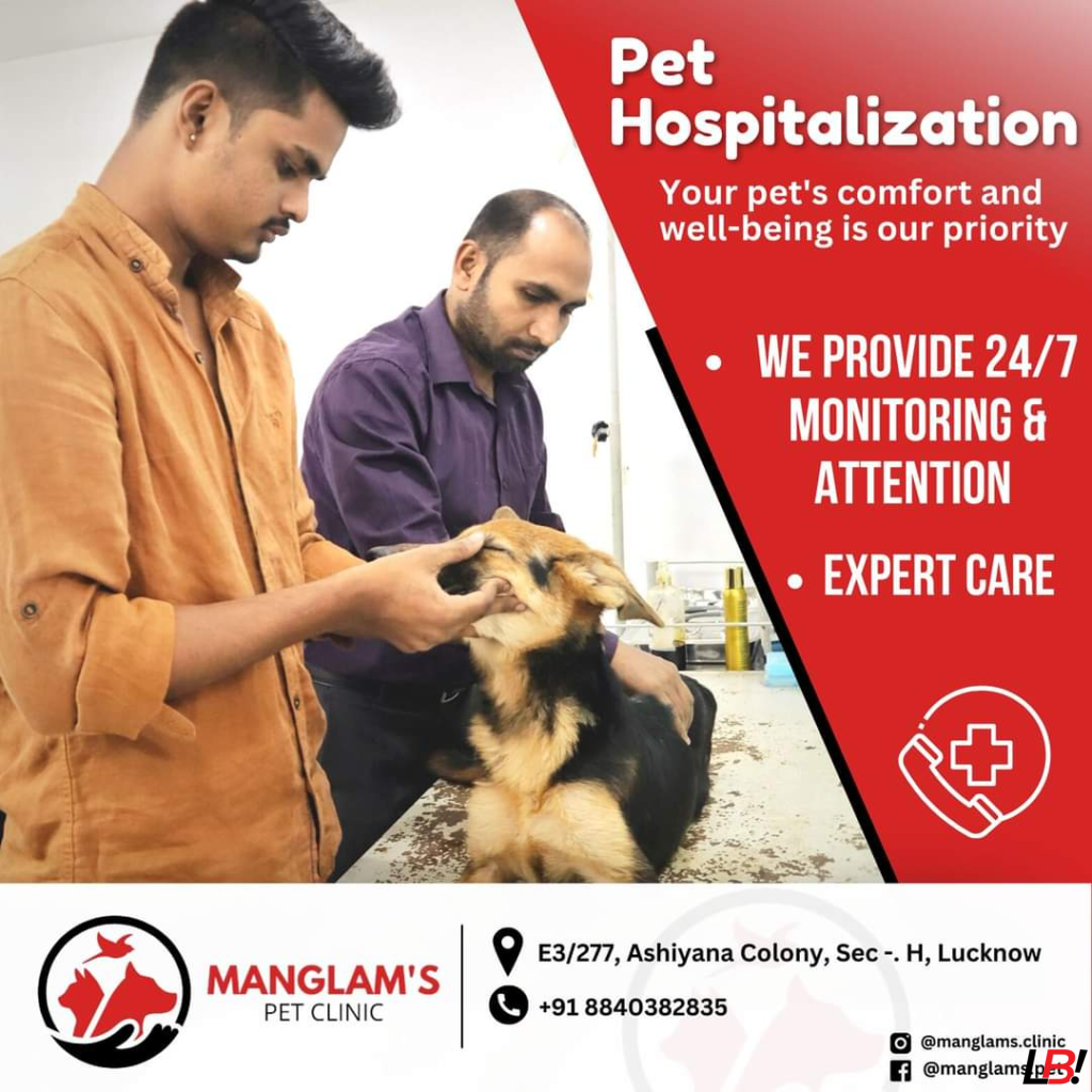 The Best in Pet Care: Dr. Kumar Mangalam’s 24/7 Unmatched Excellence 4 | LucknowBuzz The Best in Pet Care: Dr. Kumar Mangalam’s 24/7 Unmatched Excellence - Lucknow Buzz | Lucknow City Guide