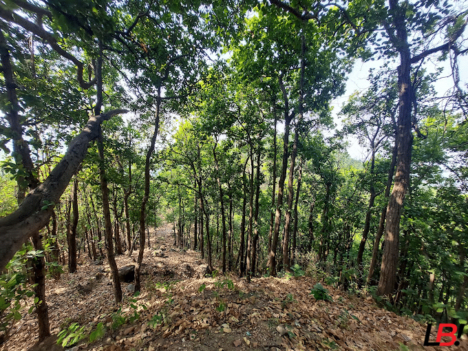 10 Refreshingly Cool Destinations Near Lucknow To Beat the Summer Heat 7 | LucknowBuzz 10 Refreshingly Cool Destinations Near Lucknow To Beat the Summer Heat - Lucknow Buzz | Lucknow City Guide