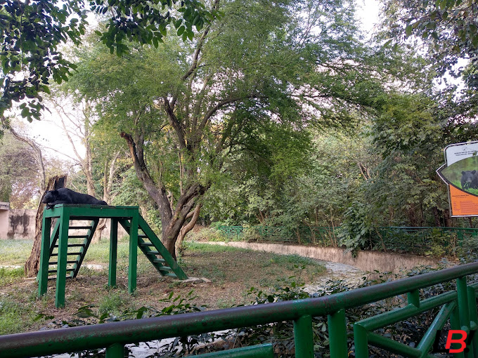 Nawab Wajid Ali Shah Zoological Garden: A Complete 71.6-Acre Wonder 9 | LucknowBuzz Nawab Wajid Ali Shah Zoological Garden: A Complete 71.6-Acre Wonder - Lucknow Buzz | Lucknow City Guide