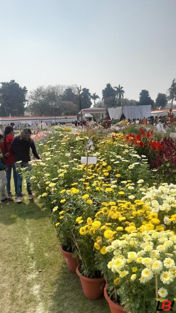 Raj Bhawan Annual Flower Show – Experience Lucknow’s Breathtaking Floral Wonderland – Open Till Feb 9 for Just ₹10! 4 | LucknowBuzz Raj Bhawan Annual Flower Show – Experience Lucknow’s Breathtaking Floral Wonderland – Open Till Feb 9 for Just ₹10! - Lucknow Buzz | Lucknow City Guide