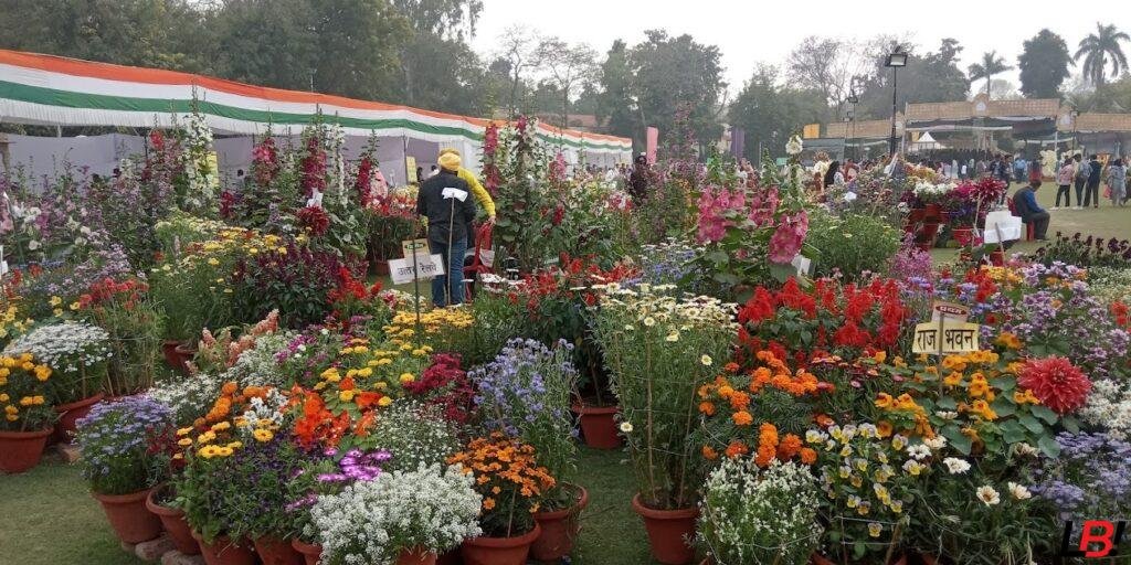 Raj Bhawan Annual Flower Show – Experience Lucknow’s Breathtaking Floral Wonderland – Open Till Feb 9 for Just ₹10! 7 | LucknowBuzz Raj Bhawan Annual Flower Show – Experience Lucknow’s Breathtaking Floral Wonderland – Open Till Feb 9 for Just ₹10! - Lucknow Buzz | Lucknow City Guide